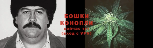 эйфоретик Козловка