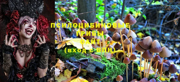 соль курить ск Кодинск