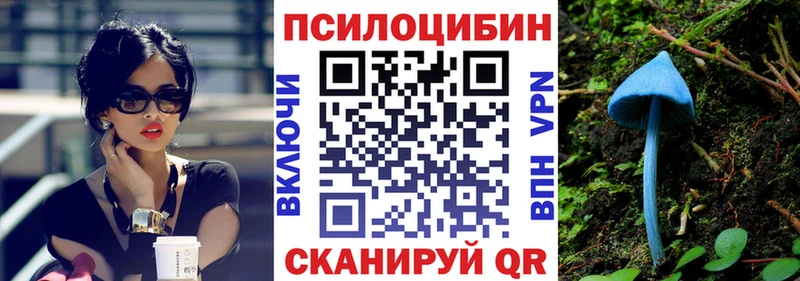 Галлюциногенные грибы мицелий Купить закладки Ленинградская